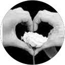 Rana Y. profile picture